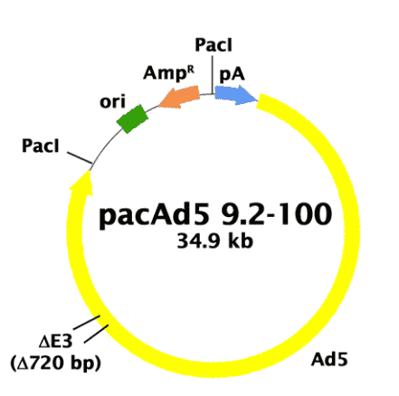pacAd5 9.2- 100